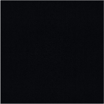 Custom Closet Color - Black