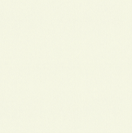 Custom Closet Color - Victorian White
