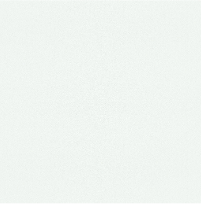 Custom Closet Color - White