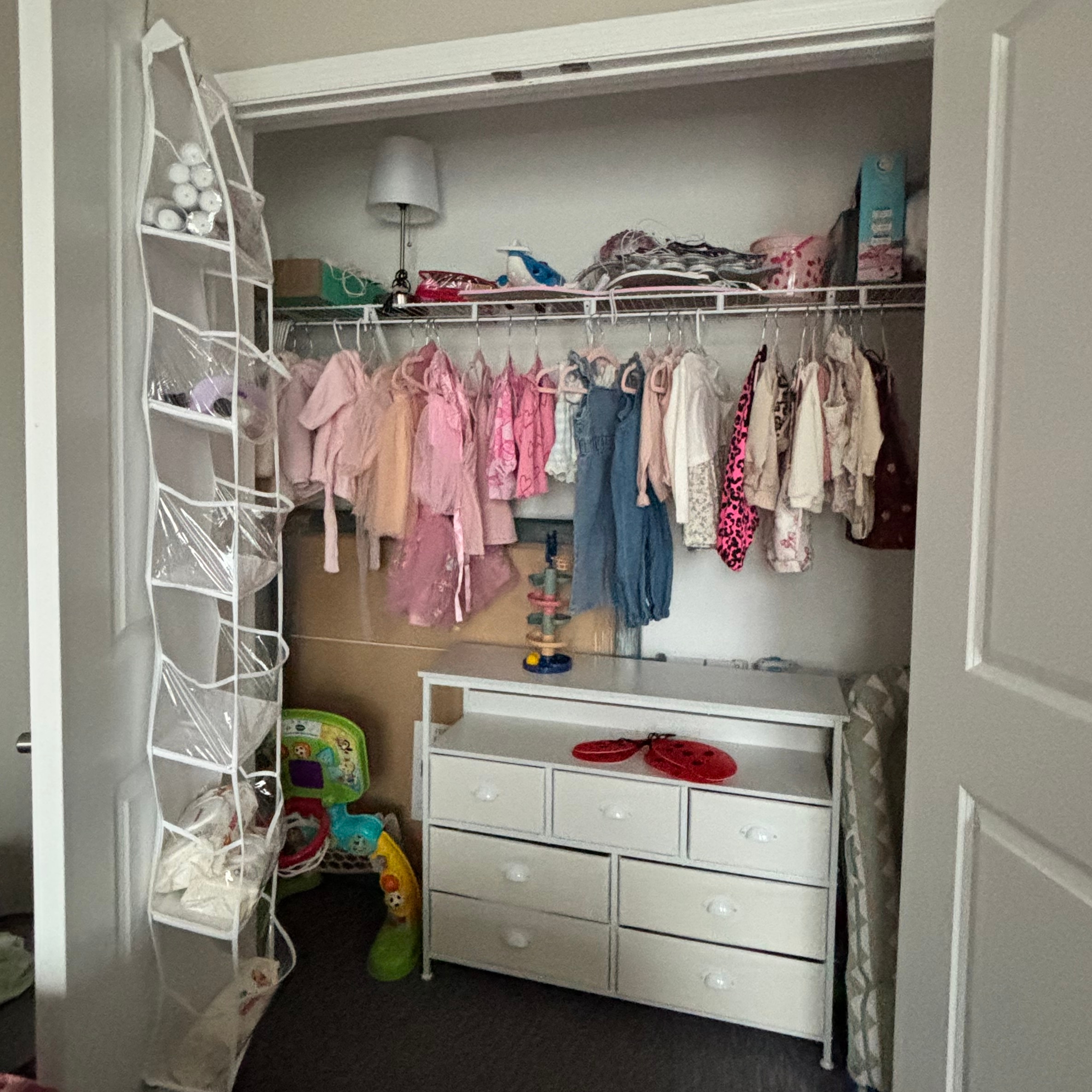 Crafty Closets Example Cluttered Reach-In Closet