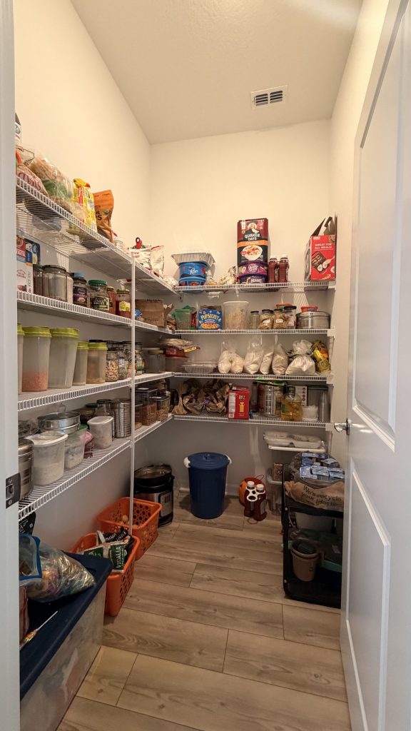 Pantry Problem - Everything Exposed Nothing Organized in Land O' Lakes, FL.