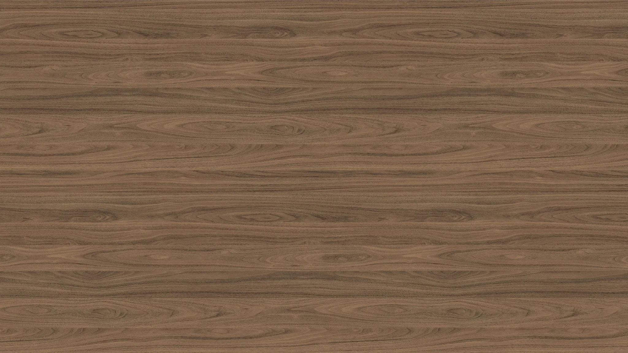 Natural Carini Walnut finish sample
